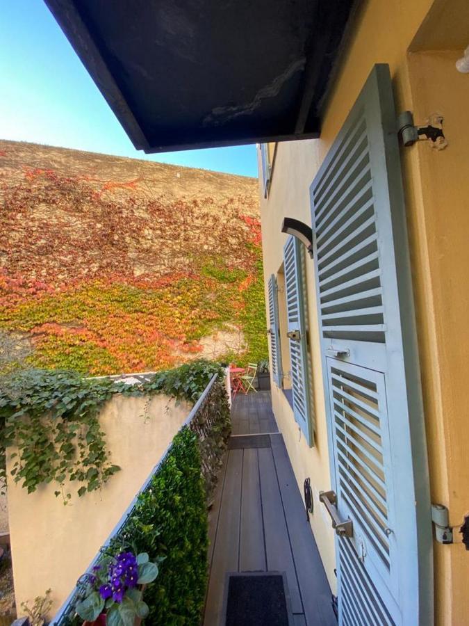 Riviera - Terrasse Loft De La Providence - Vieille - Esprit Loft En 2 Pices Ac Appartamento Nizza
